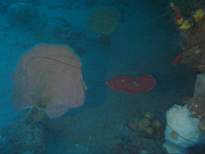 20061203_MA-00421.JPG