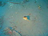 20061203_MA-00422.JPG