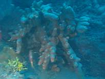 20061203_MA-00424.JPG