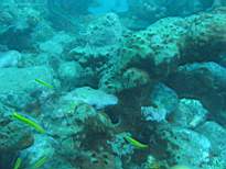 20061203_MA-00427.JPG