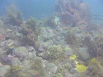 20061203_MA-00428.JPG