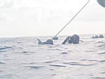 20061203_MA-00465.JPG