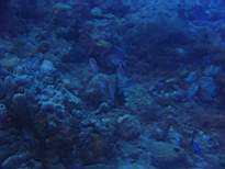 20061203_MA-00500.JPG