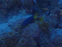 20061203_MA-00502.JPG