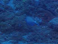 20061203_MA-00504.JPG
