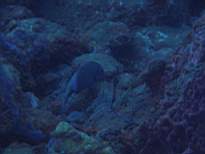 20061203_MA-00507.JPG