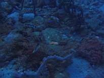 20061203_MA-00508.JPG
