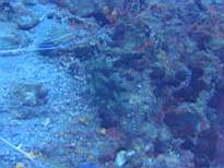 20061203_MA-00509.JPG