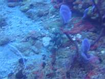 20061203_MA-00510.JPG