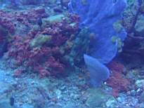 20061203_MA-00511.JPG