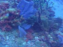 20061203_MA-00512.JPG