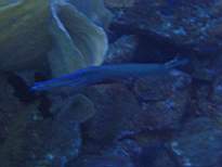 20061203_MA-00516.JPG