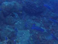 20061203_MA-00517.JPG