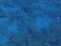 20061203_MA-00519.JPG