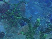20061203_MA-00523.JPG