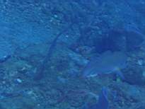 20061203_MA-00524.JPG