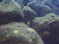 20061203_MA-00525.JPG