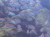 20061203_MA-00527.JPG