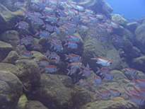 20061203_MA-00528.JPG