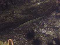 20061203_MA-00533.JPG