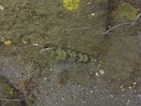 20061203_MA-00534.JPG
