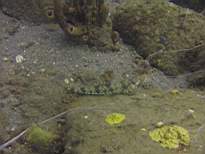 20061203_MA-00535.JPG