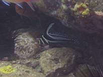 20061203_MA-00538.JPG
