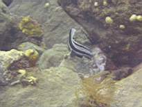 20061203_MA-00539.JPG