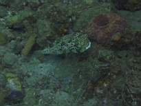 20061203_MA-00541.JPG