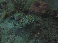 20061203_MA-00542.JPG