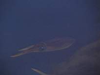 20061203_MA-00551.JPG