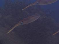 20061203_MA-00555.JPG