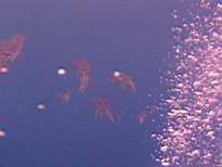 20061203_MA-00557.JPG