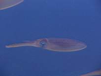 20061203_MA-00564.JPG