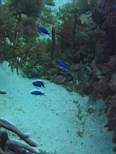 20061204_MI-00586.JPG