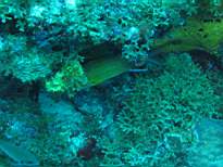 20061204_MI-00587.JPG
