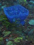 20061204_MI-00588.JPG