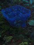 20061204_MI-00589.JPG