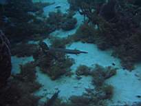 20061204_MI-00591.JPG