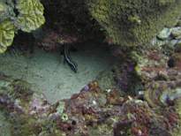 20061204_MI-00592.JPG