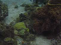 20061204_MI-00593.JPG