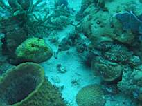 20061204_MI-00594.JPG