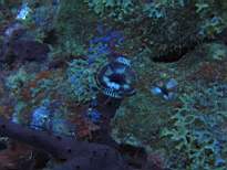 20061205_MA-0597.JPG