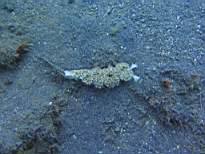 20061205_MA-0601.JPG