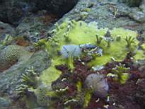 20061205_MA-0605.JPG