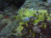 20061205_MA-0606.JPG