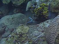 20061205_MA-0608.JPG