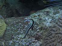 20061205_MA-0609.JPG