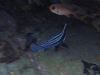 20061205_MA-0618.JPG