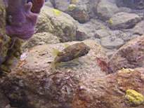 20061205_MA-0623.JPG